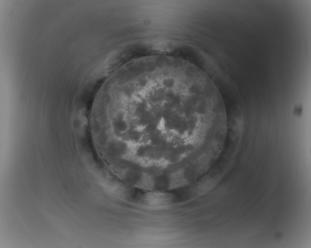 X0000114660707200910201531