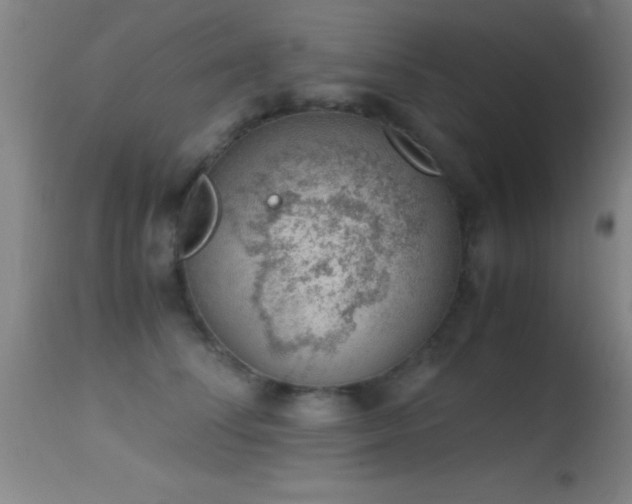 X0000114660708200910201531