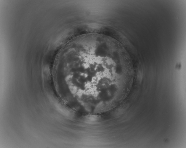 X0000114660711200910201530