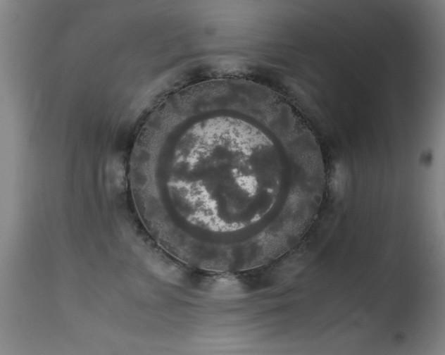 X0000114660715200910201530