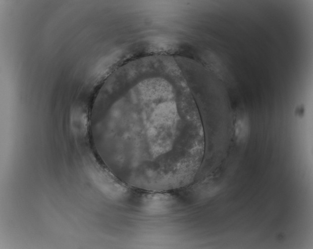 X0000114660716200910201530