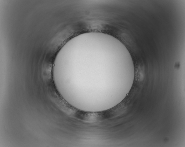 X0000114660717200910201530