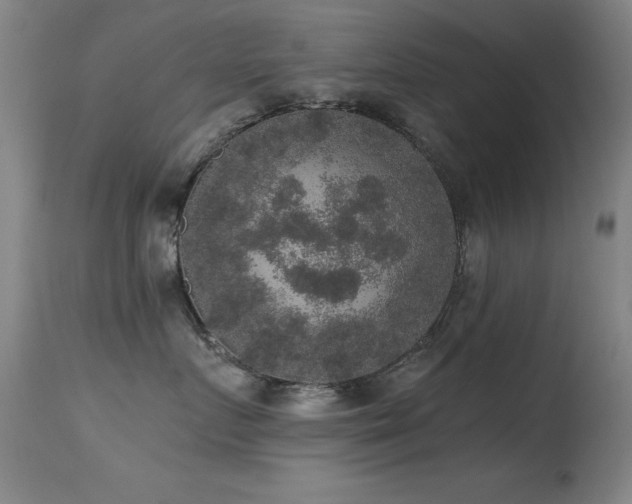 X0000114660719200910201530