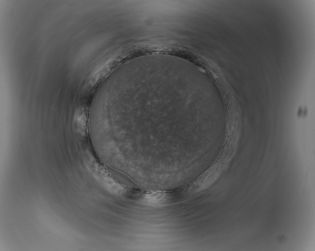 X0000114660720200910201530