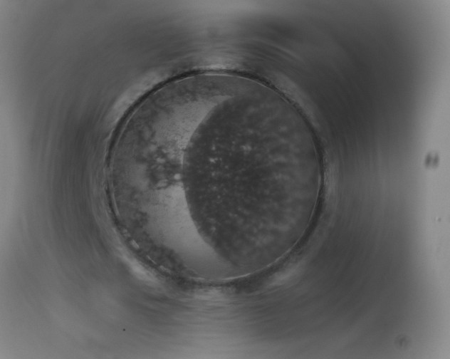 X0000114660721200910201530