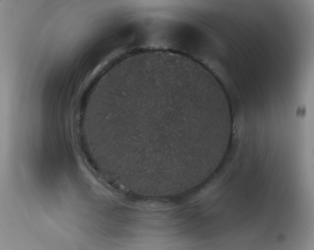 X0000114660722200910201530