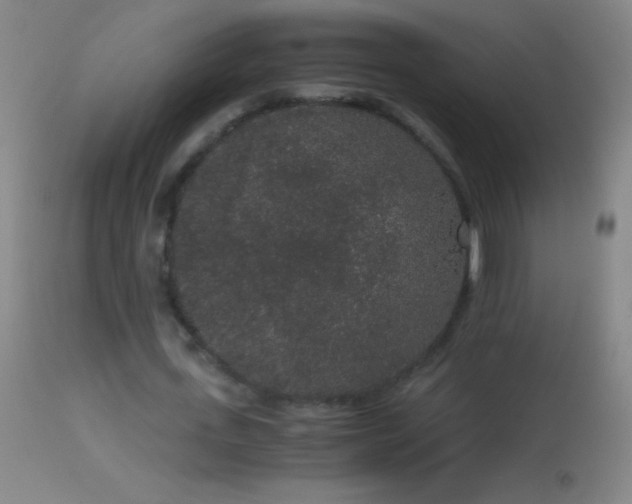 X0000114660723200910201530