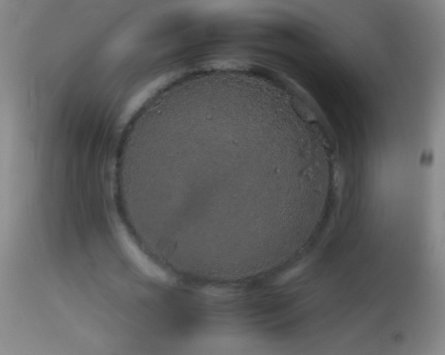 X0000114660725200910201530