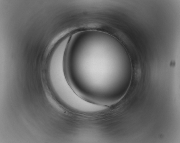 X0000114660726200910201530