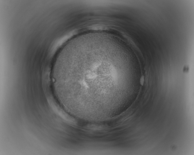 X0000114660727200910201530