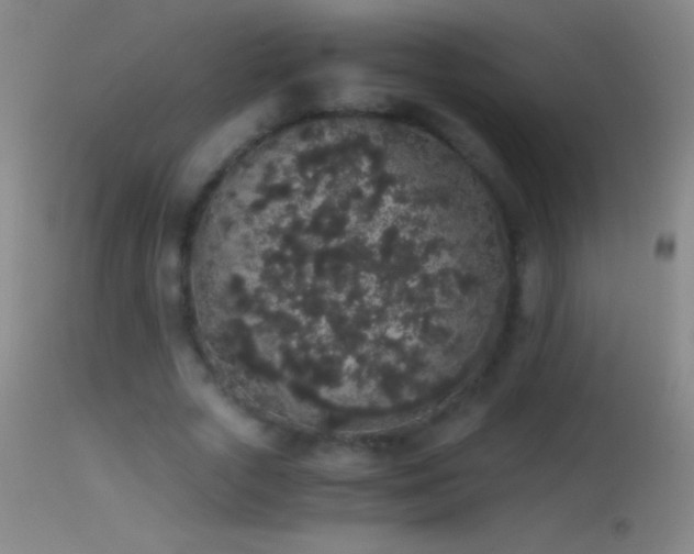 X0000114660729200910201530