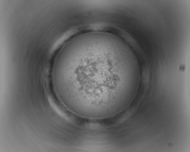 X0000114660730200910201530