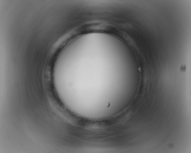 X0000114660731200910201530