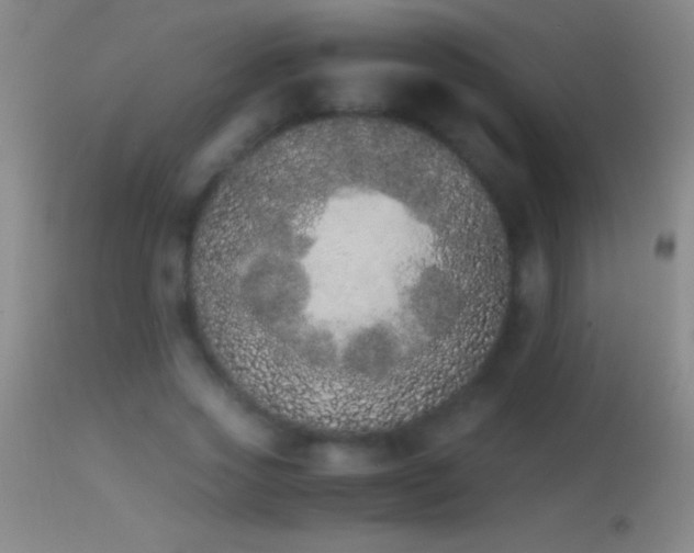 X0000114660733200910201530