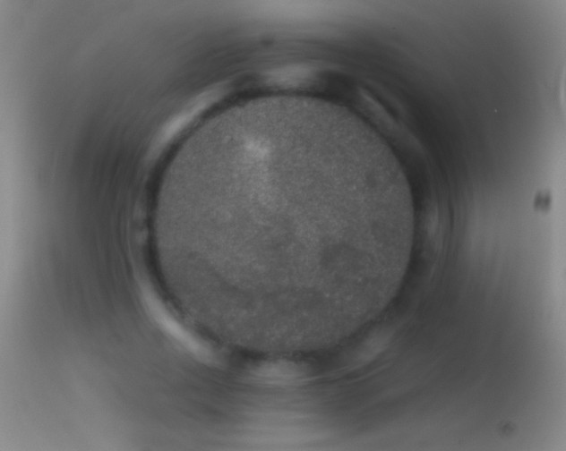 X0000114660734200910201530