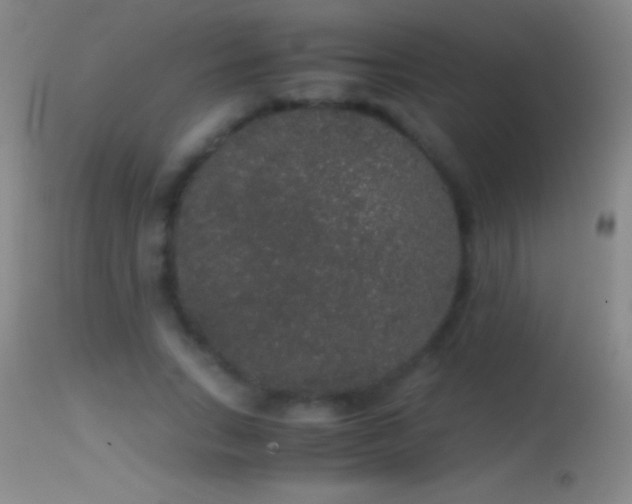 X0000114660735200910201530