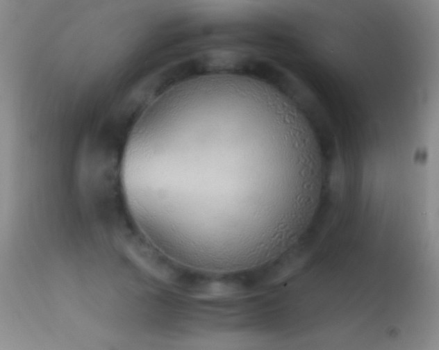 X0000114660737200910201530