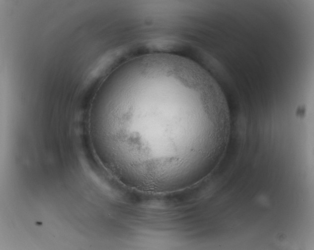 X0000114660738200910201530