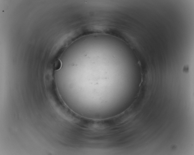 X0000114660739200910201530