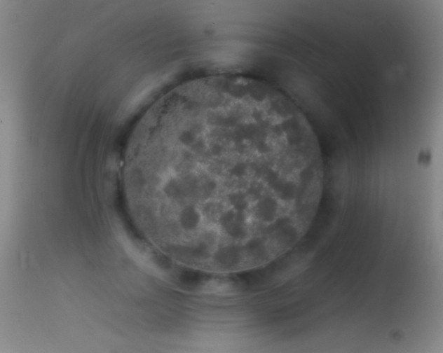 X0000114660742200910201530