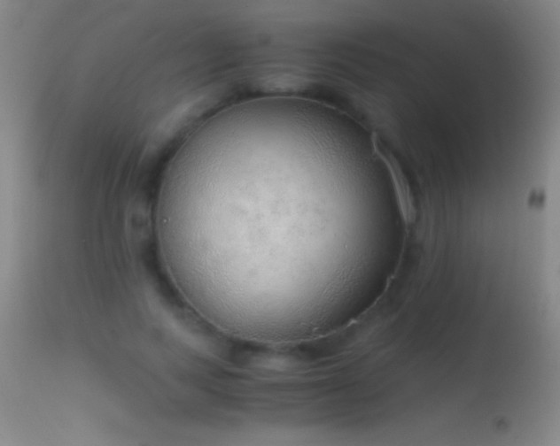 X0000114660743200910201530