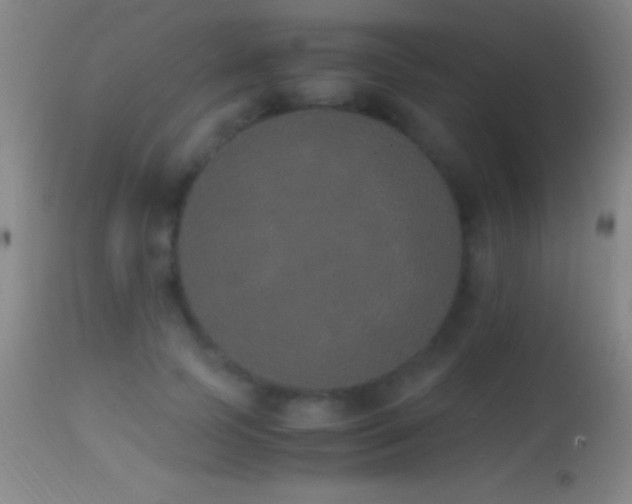 X0000114660745200910201530