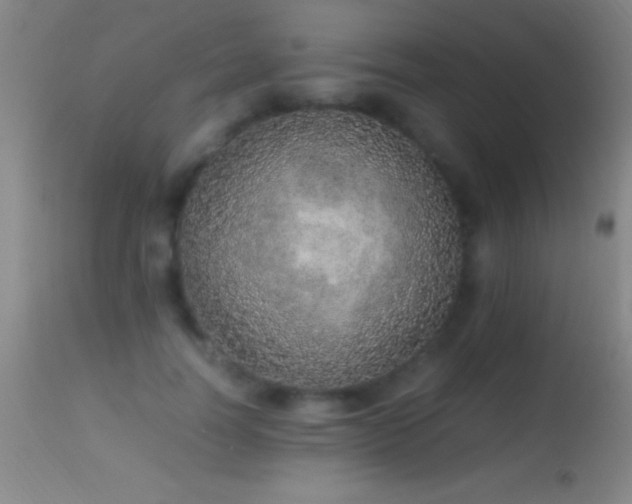 X0000114660746200910201530