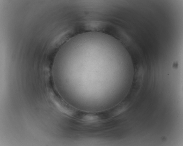 X0000114660749200910201530