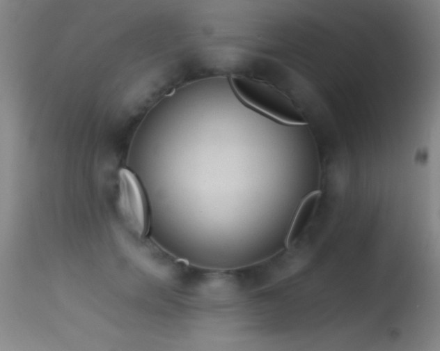 X0000114660750200910201530