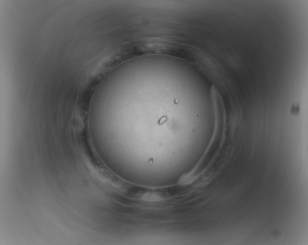 X0000114660751200910201530