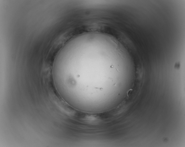 X0000114660753200910201530