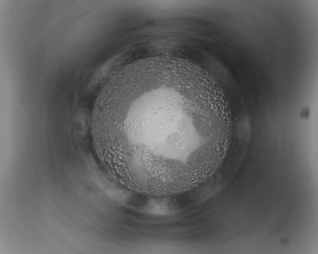 X0000114660757200910201530