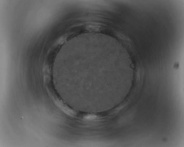 X0000114660759200910201530