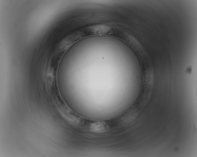 X0000114660761200910201530