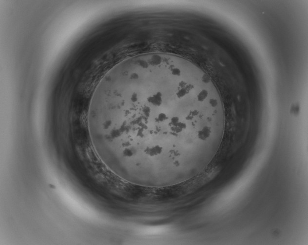 X0000114660765200910201530