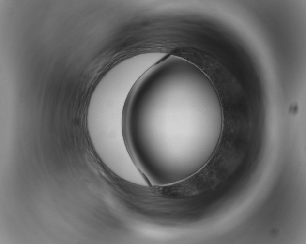 X0000114660766200910201530