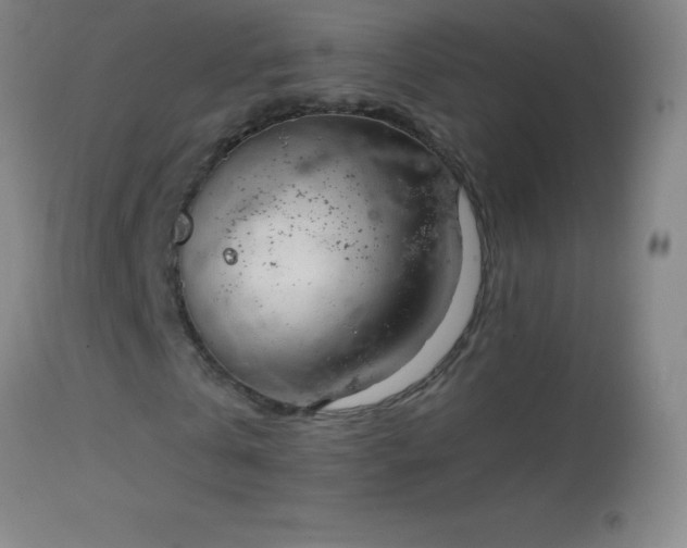 X0000114660769200910201530