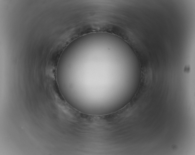 X0000114660770200910201530