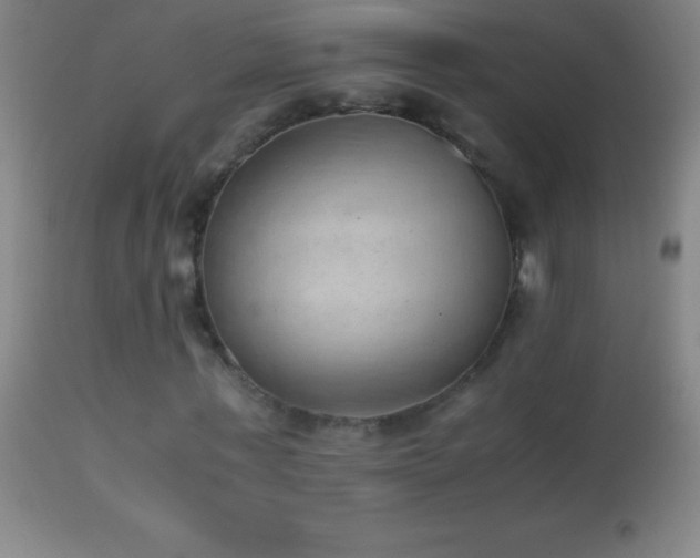 X0000114660771200910201530