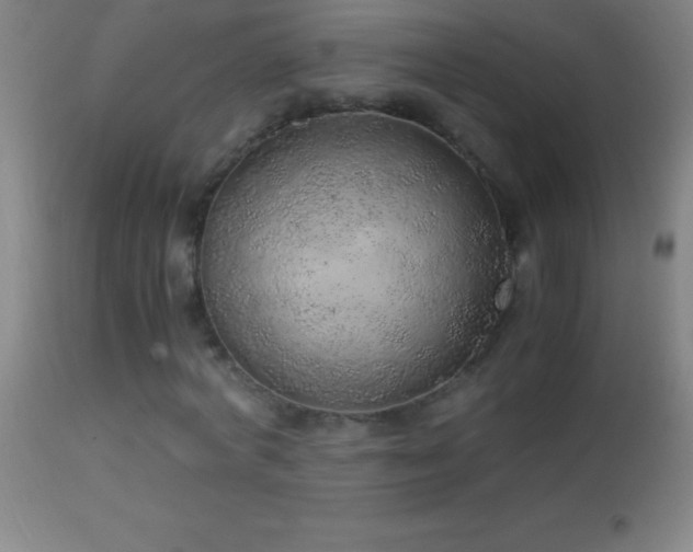 X0000114660772200910201530