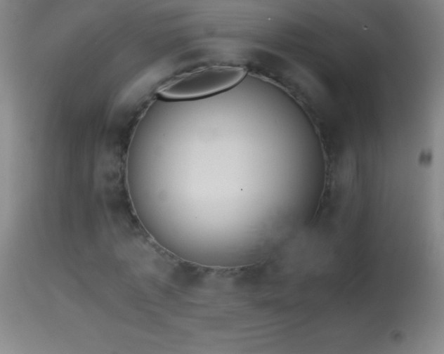 X0000114660773200910201530