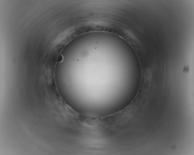 X0000114660774200910201530