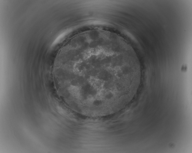 X0000114660775200910201530