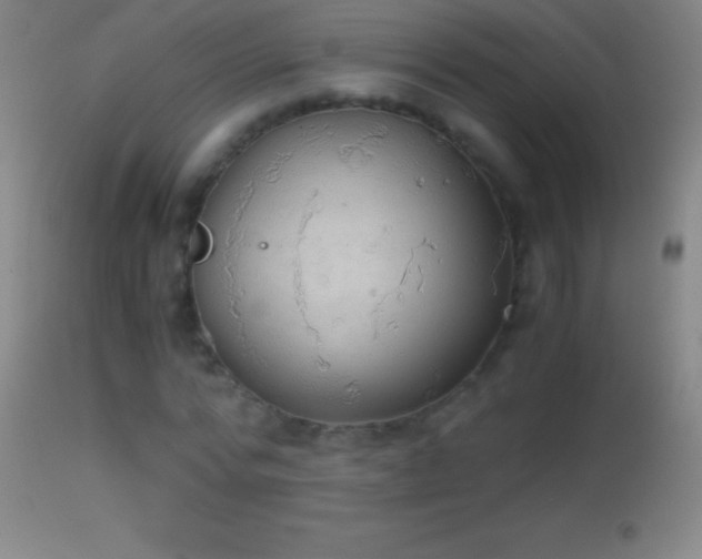 X0000114660776200910201530