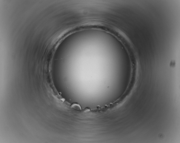 X0000114660777200910201530