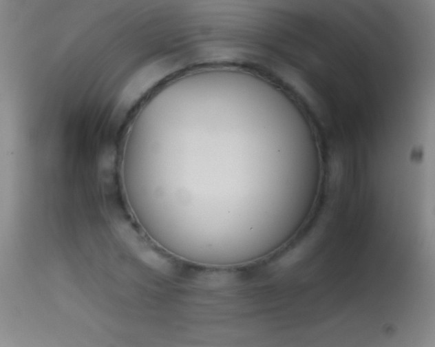 X0000114660778200910201530