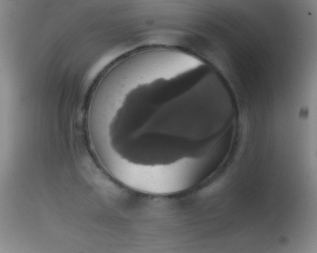 X0000114660779200910201530