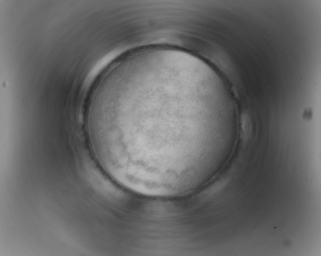 X0000114660780200910201530