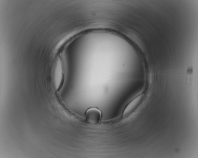 X0000114660781200910201530