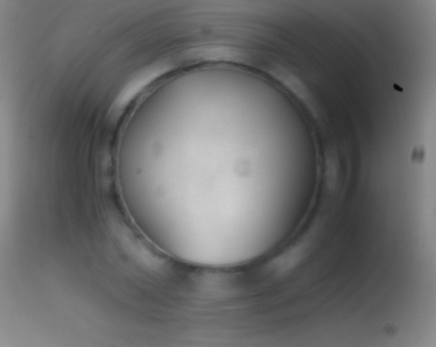 X0000114660782200910201529